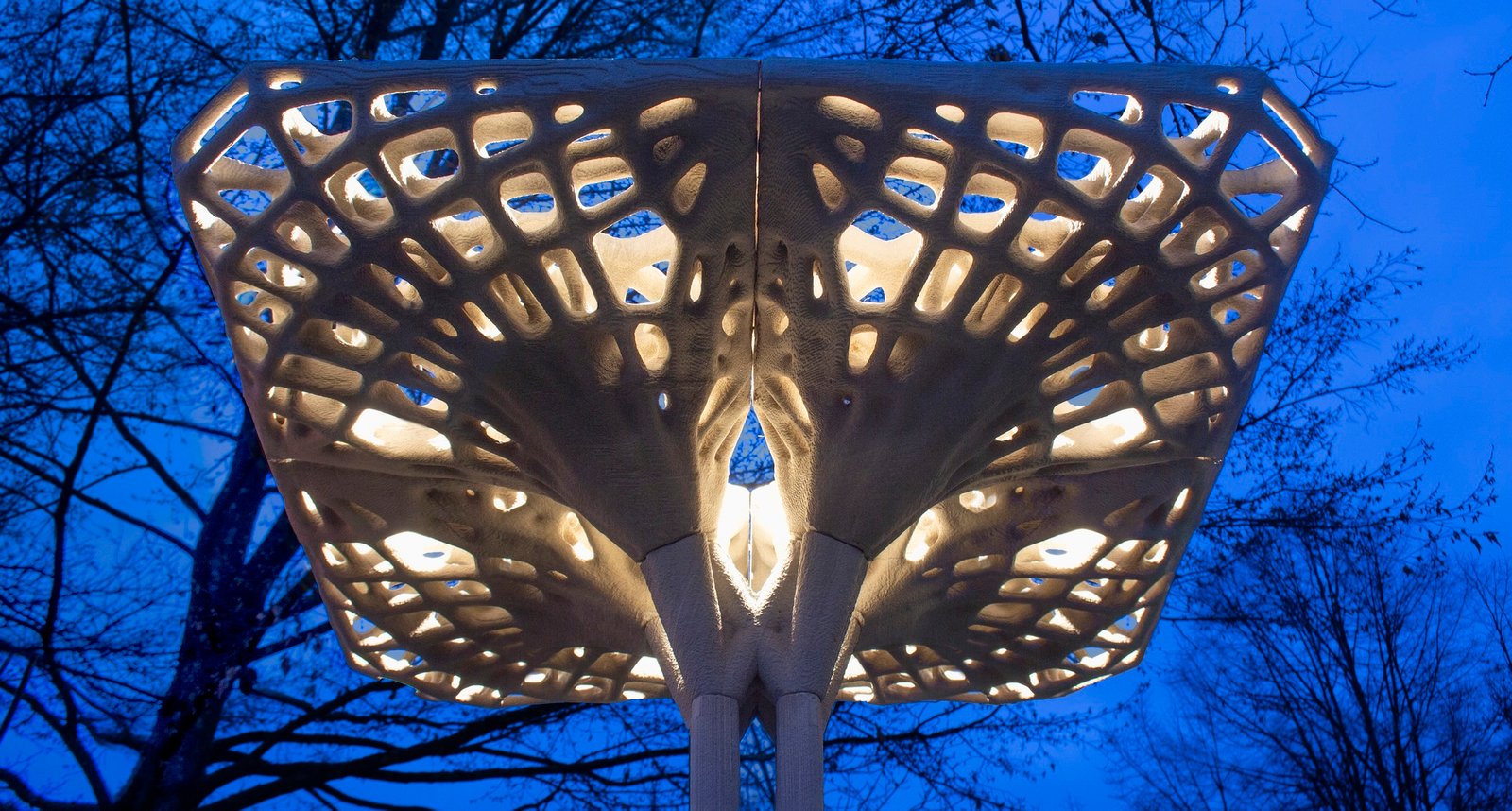 Marinaressa Coral Tree